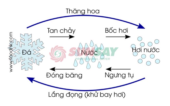 Quá trình chuyển pha của nước