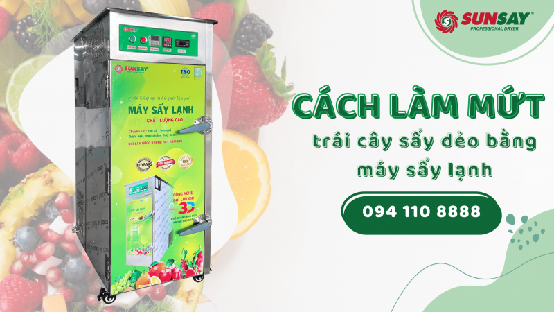 Cách làm máy trái cây sấy dẻo bằng máy sấy lạnh
