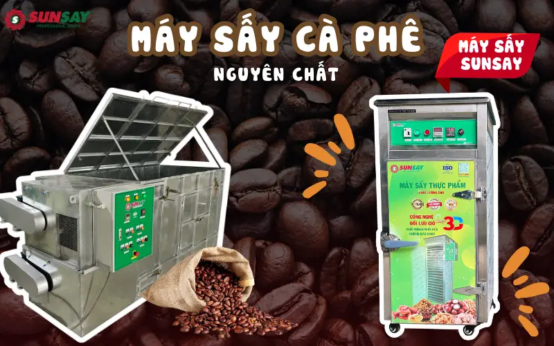 Máy sấy cà phê nguyên chất – Giải pháp tối ưu cho nông hộ và cơ sở rang xay