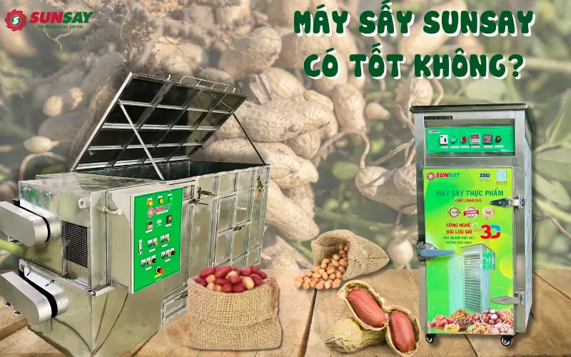 Đầu tư máy sấy nông sản đậu phộng – Lợi nhuận tăng gấp đôi cho cơ sở chế biến