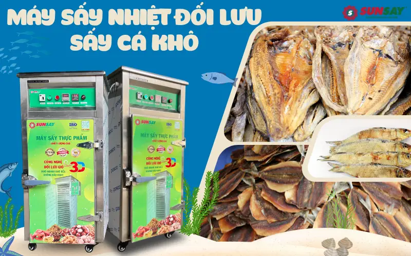 Máy sấy nhiệt đối lưu sấy cá khô