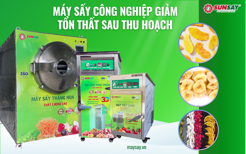 Đầu tư máy sấy công nghiệp giảm tổn thất sau thu hoạch
