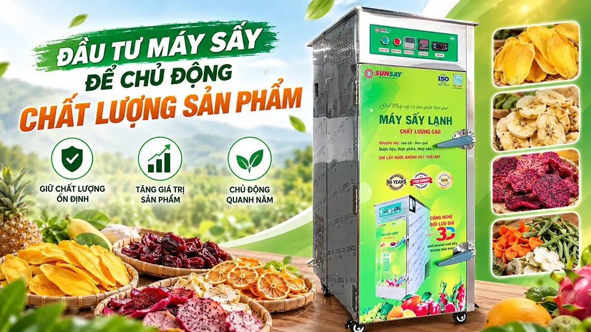Đầu tư máy sấy để chủ động chất lượng sản phẩm