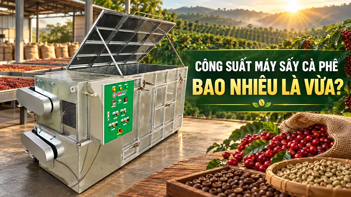 Máy sấy cà phê công suất bao nhiêu là đủ?