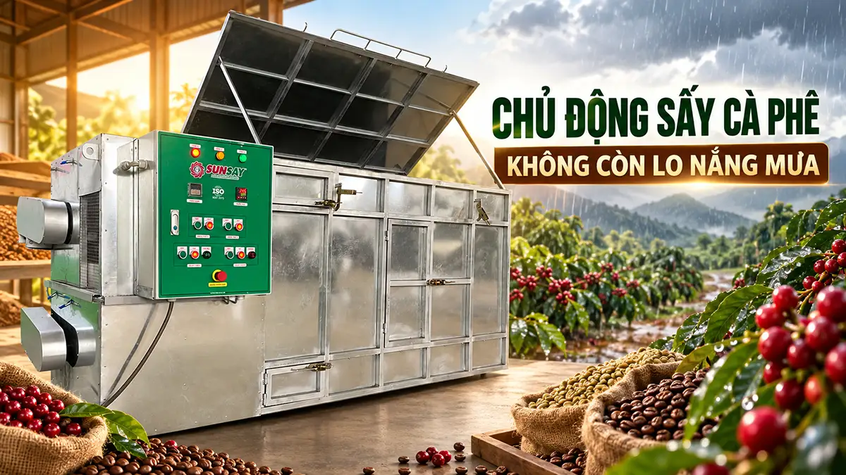 Máy sấy cà phê giúp giảm phụ thuộc vào thời tiết