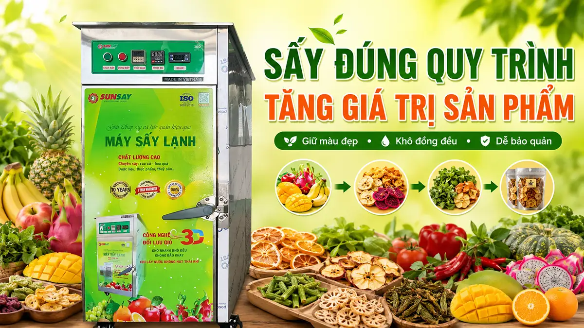Quy trình sấy giúp tăng giá trị sản phẩm – Giải pháp nâng cao hiệu quả chế biến