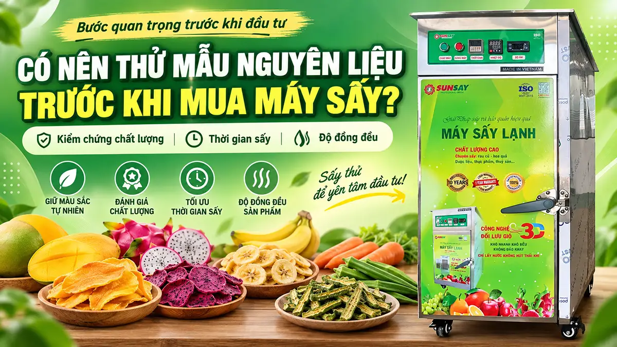 Cần thử mẫu nguyên liệu trước khi mua máy sấy không? Những điều cần kiểm chứng