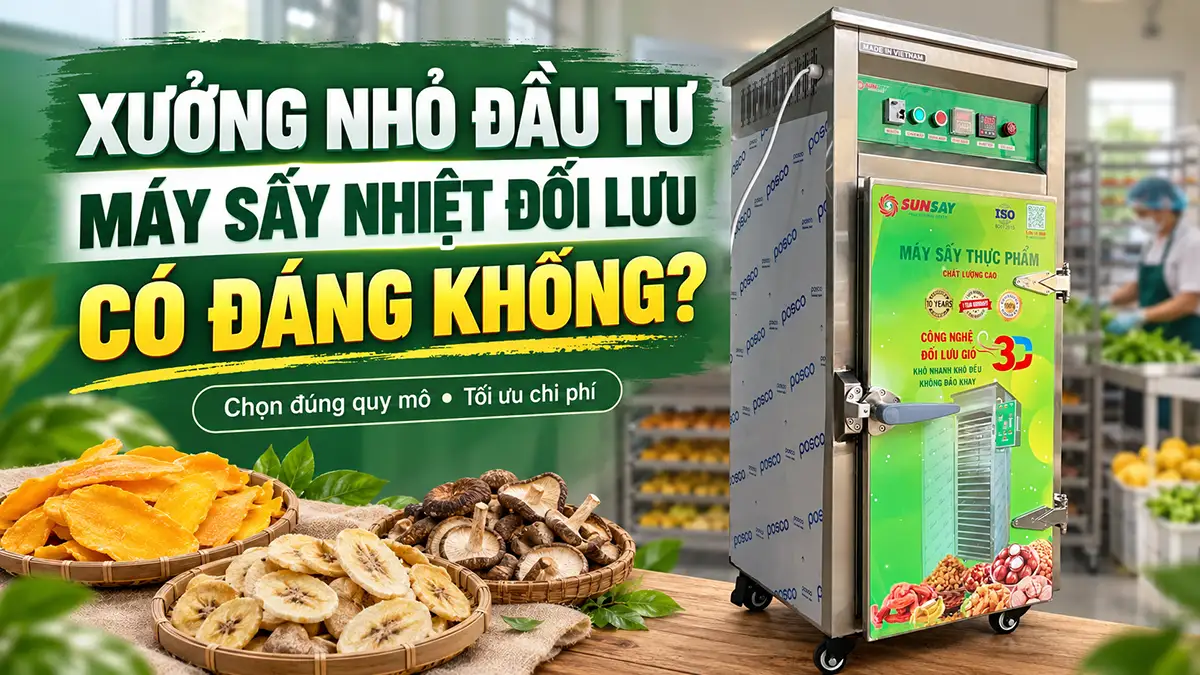 Đầu tư máy sấy nhiệt đối lưu cho xưởng nhỏ có hiệu quả không?