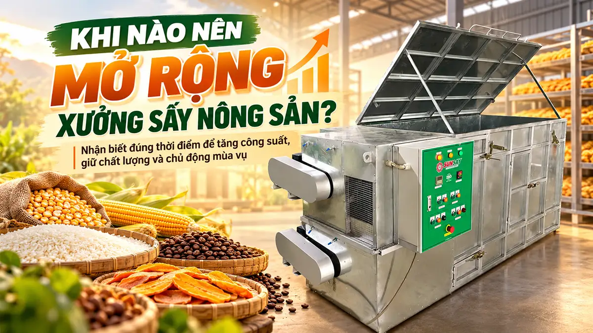 Làm sao xác định thời điểm mở rộng xưởng sấy nông sản?